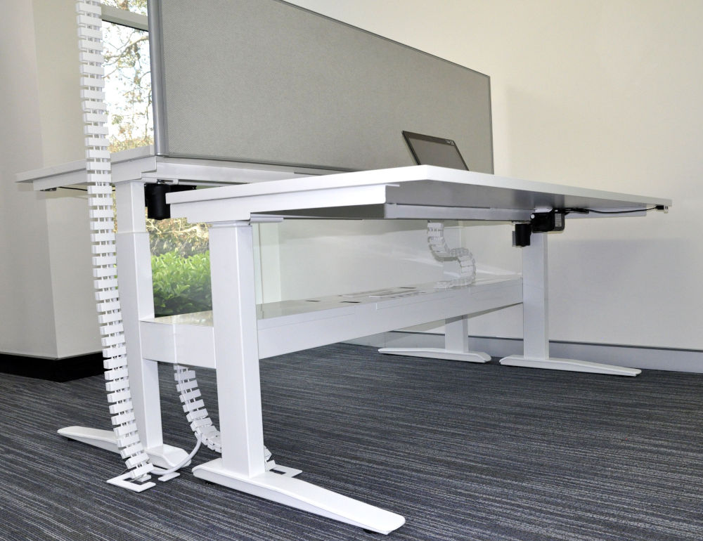 cable snake sit stand Desk