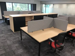 OGI Y Pods with TWIN dividing screens