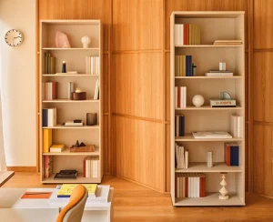 two tall standard bookcases