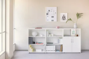 Low standard bookcase