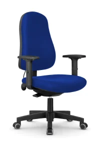 Robin chair Blue