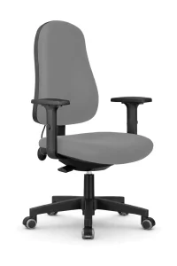 Robin LightGrey